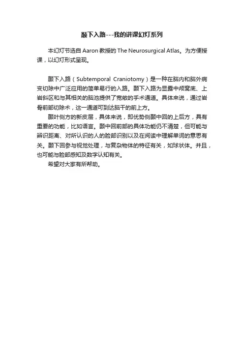 颞下入路---我的讲课幻灯系列