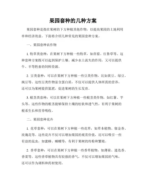 果园套种的几种方案