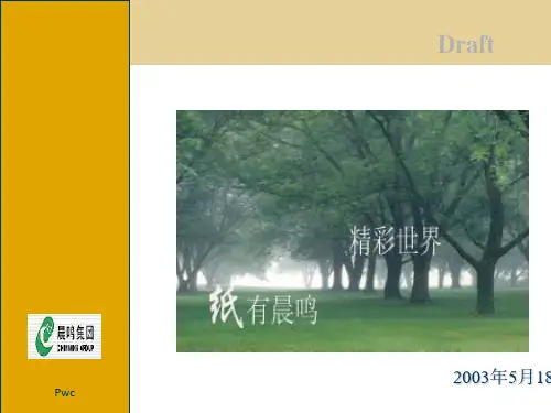 普华永道-财务管理及内控管理建议课件