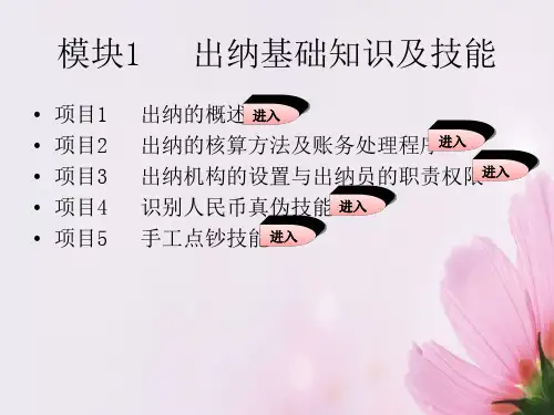 出纳实务出纳基础知识及技能PPT精选文档