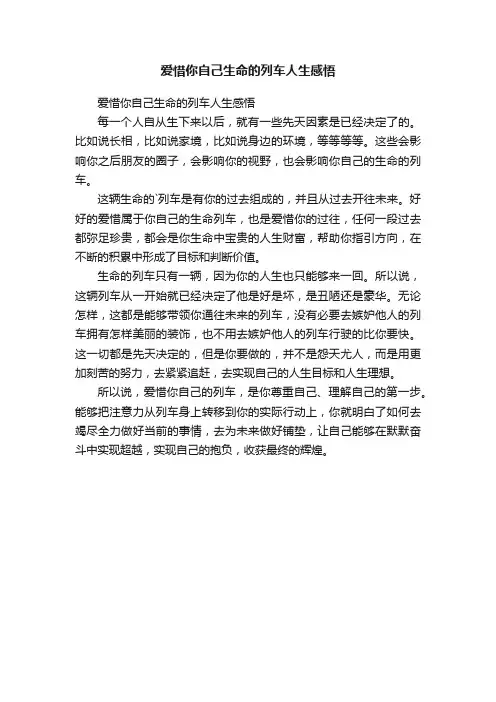 爱惜你自己生命的列车人生感悟