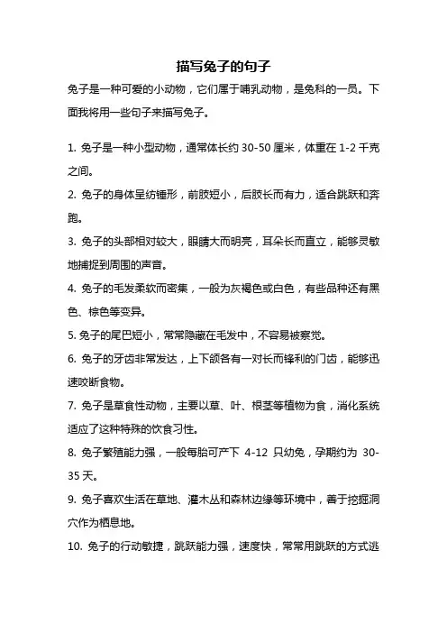 描写兔子的句子