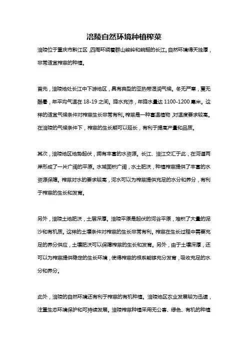 涪陵自然环境种植榨菜