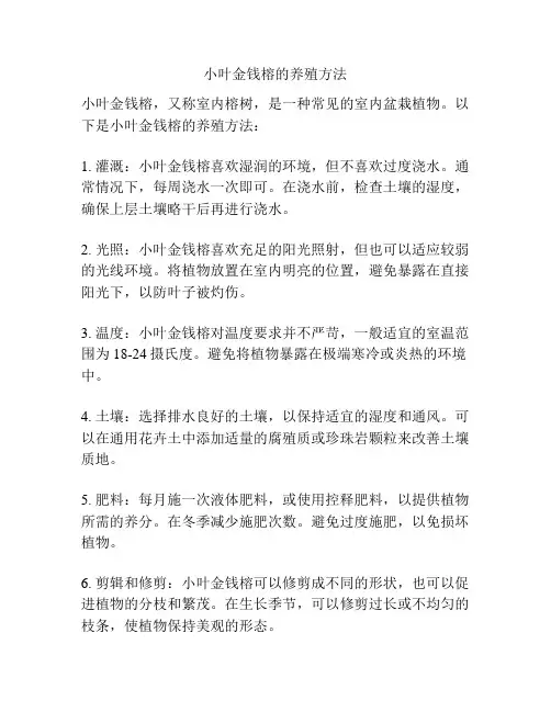 小叶金钱榕的养殖方法