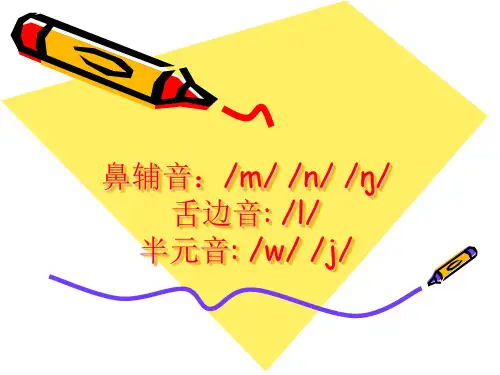 鼻辅音 舌边音 半元音