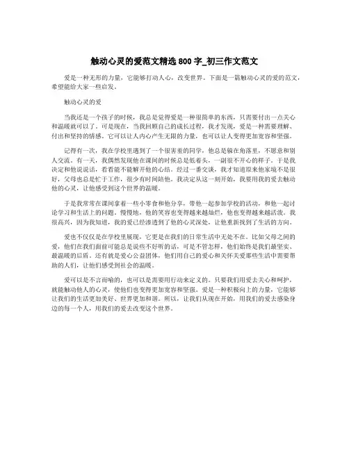 触动心灵的爱范文精选800字_初三作文范文