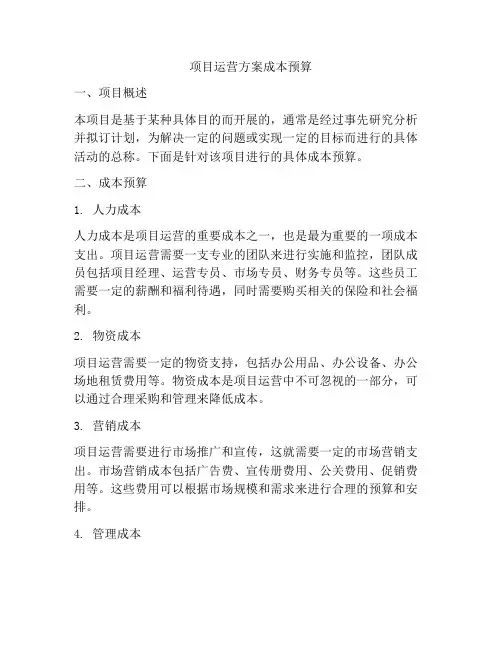 项目运营方案成本预算