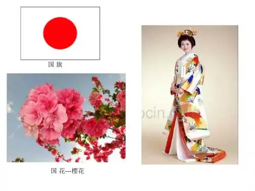 #人教版七年级地理下册日本PPT