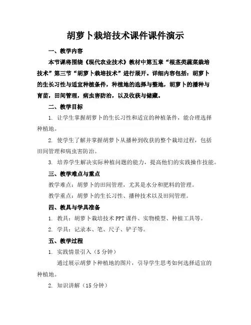 胡萝卜栽培技术课件课件演示