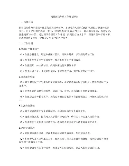 民营医院年度工作计划报告