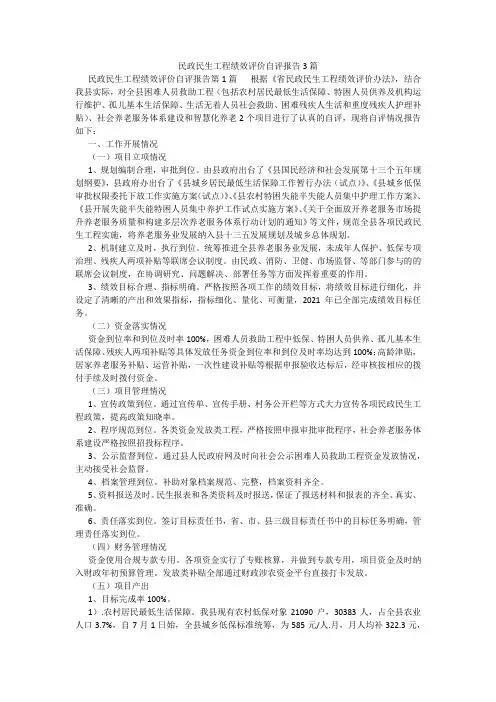 百度文库精品文档-民政民生工程绩效评价自评报告3篇