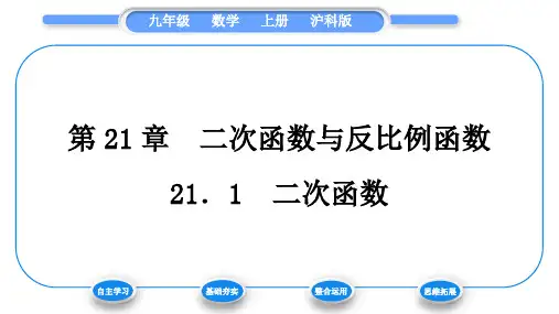 沪科版九年级数学上第21章二次函数与反比例函数21