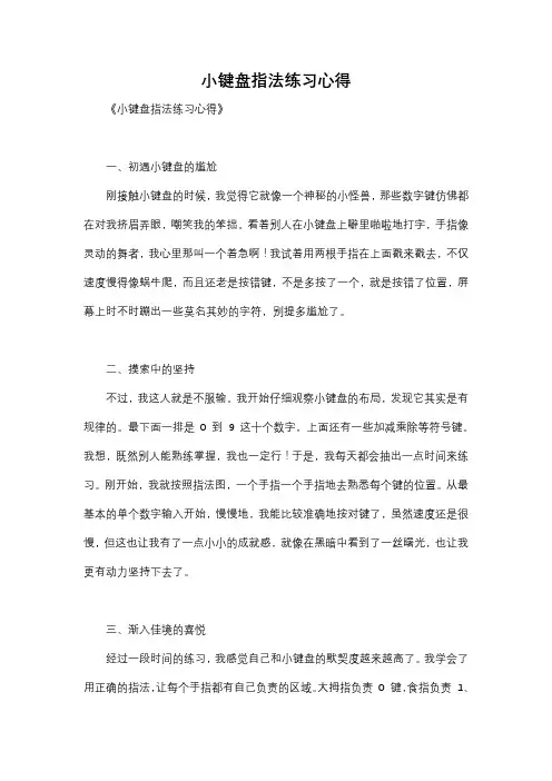 小键盘指法练习心得