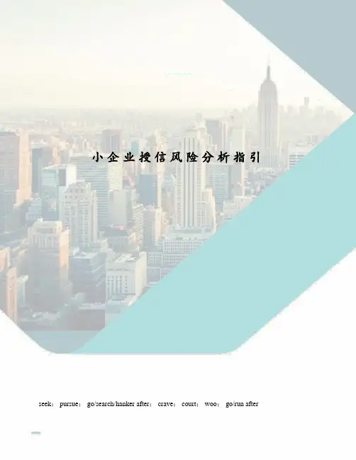 小企业授信风险分析指引