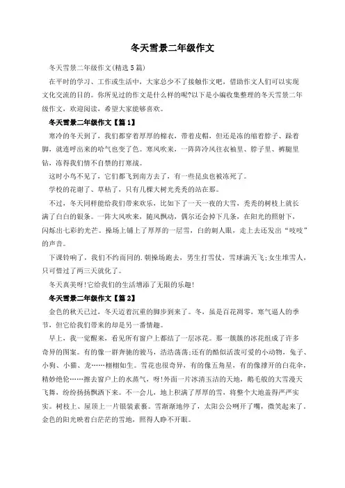 冬天雪景二年级作文