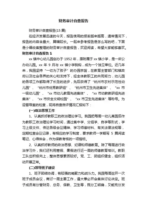 财务审计自查报告