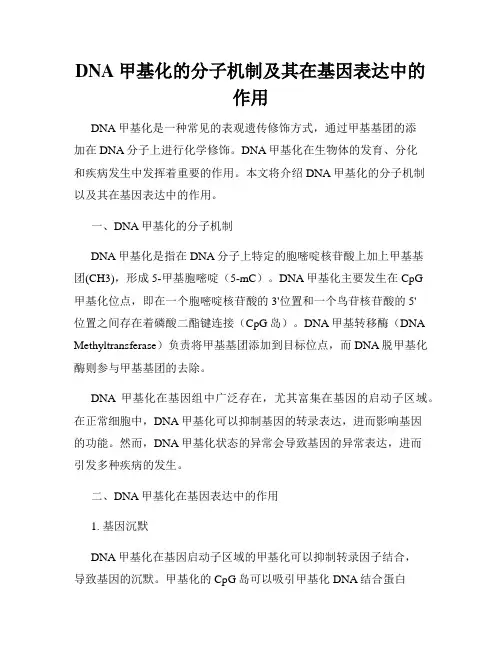 DNA甲基化的分子机制及其在基因表达中的作用
