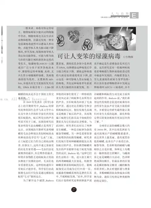 可让人变笨的绿藻病毒