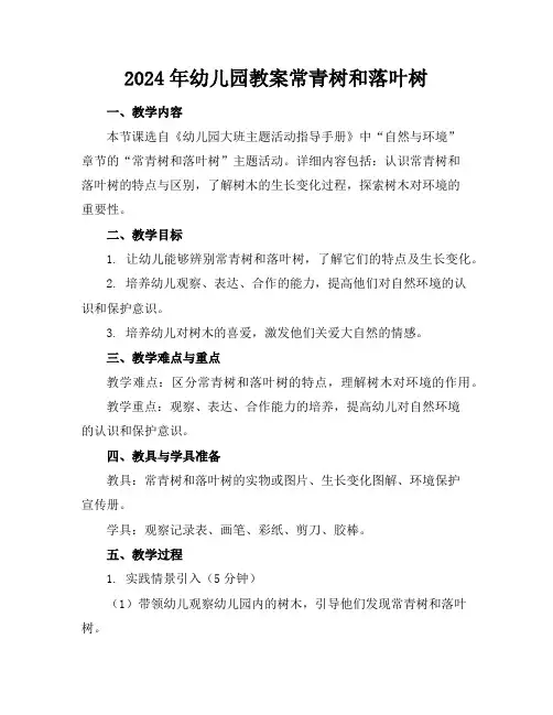 2024年幼儿园教案常青树和落叶树