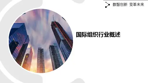 国际组织行业概述