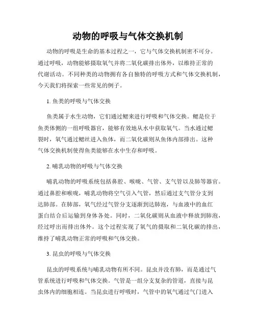 动物的呼吸与气体交换机制