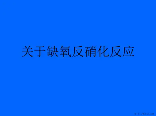 缺氧反硝化反应