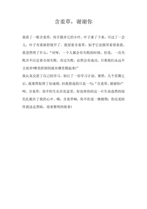 初三叙事含羞草，谢谢你