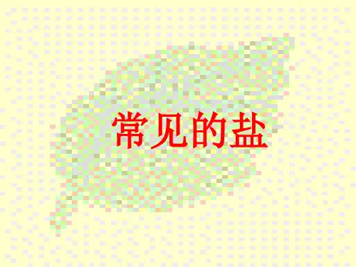 初三化学第七章第三节常见的盐