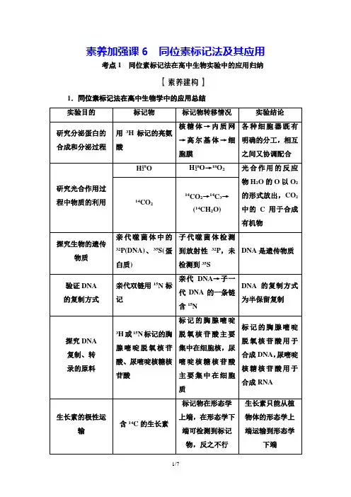 素养加强课6 同位素标记法及其应用