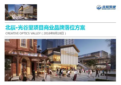 2016年武汉北辰·光谷里项目商业品牌落位方案_业态落位