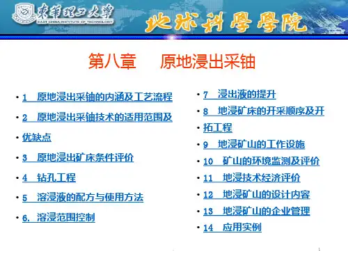 第八章原地浸出采铀案例PPT课件