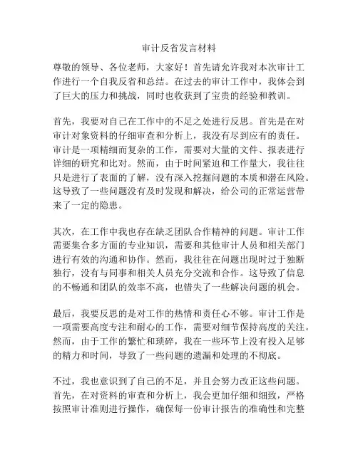 审计反省发言材料