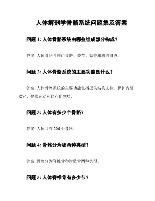 人体解剖学骨骼系统问题集及答案