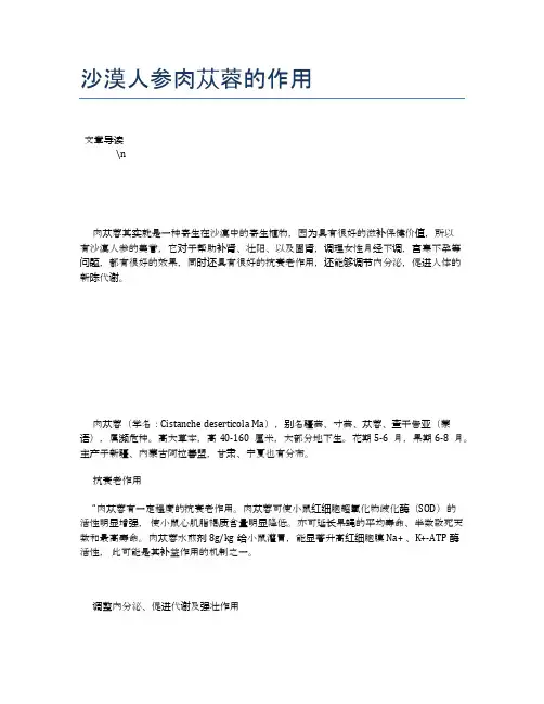 沙漠人参肉苁蓉的作用【营养美味食谱大全】