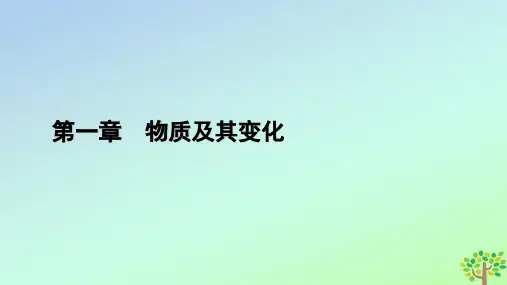  高中化学第1章第3课时与量有关的离子方程式的书写常见离子的检验与推断微专题1课件新人教版必修第一册