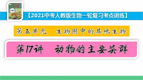 5.17动物的主要类群【2021中考人教版生物一轮复习考点讲练】