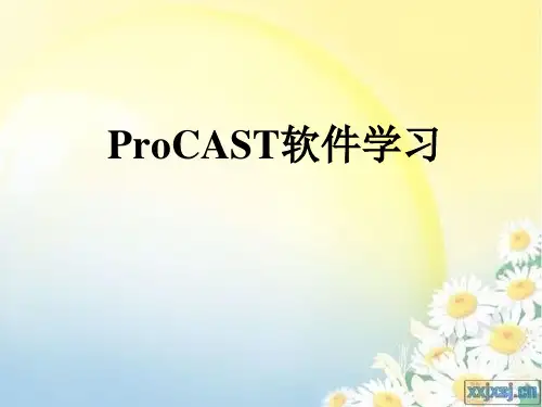 ProCAST学习操作教程