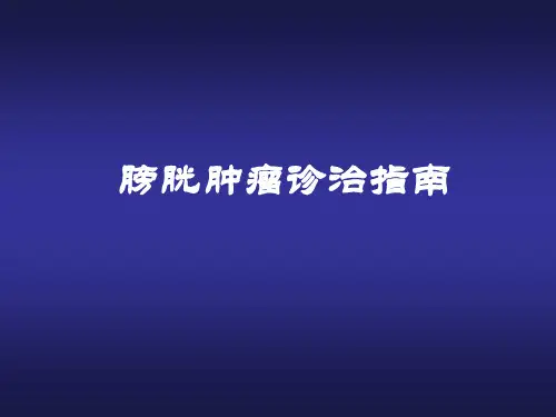 膀胱肿瘤诊治指南【31页】