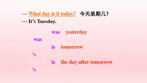 八年级英语上册  Unit 9 Can you come to my party Section B