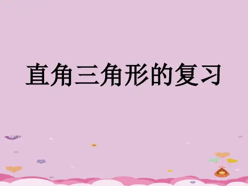 浙教版初中数学八年级上 册2.6   直角三角形  直角三角形的复习  课件 优质课件PPT