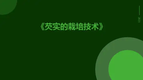 芡实的栽培技术