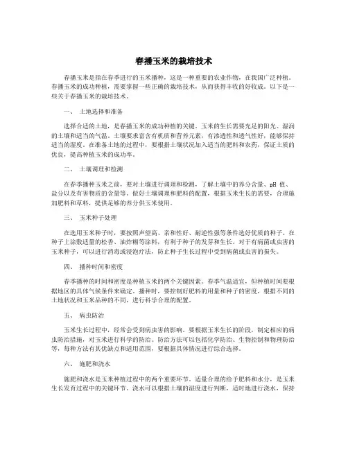 春播玉米的栽培技术