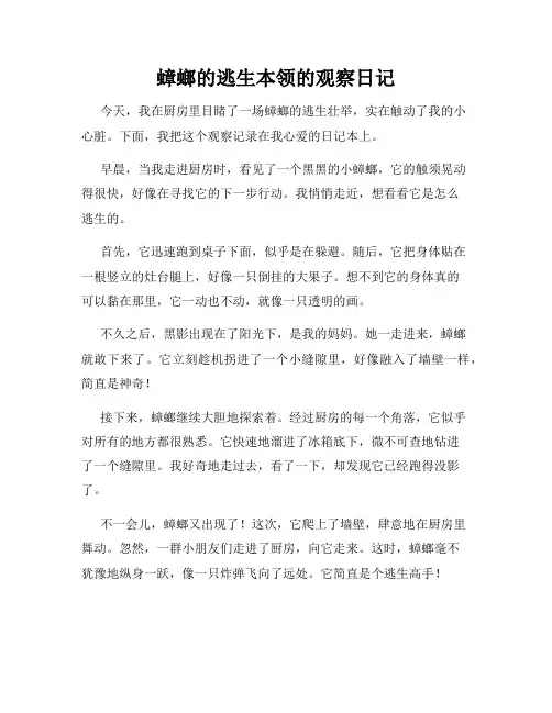 小学三年级作文蟑螂的逃生本领的观察日记
