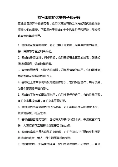 描写蜜蜂的优美句子和好段