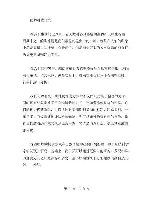 蜘蛛捕食作文范文