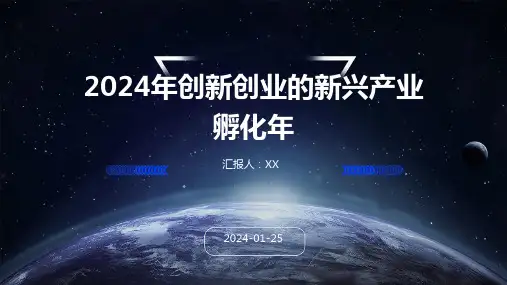 2024年创新创业的新兴产业孵化年