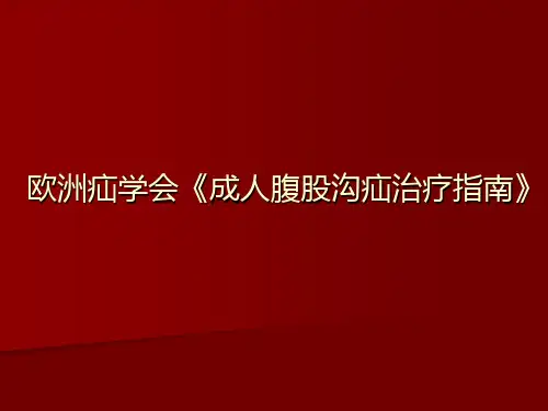 腹股沟疝治疗指南