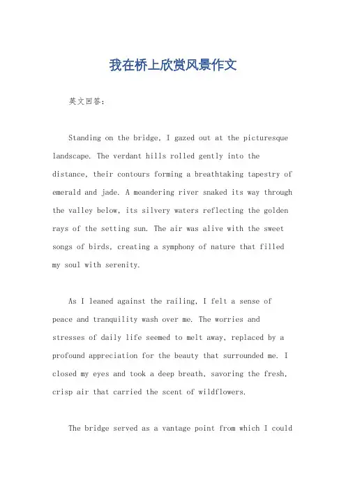 我在桥上欣赏风景作文
