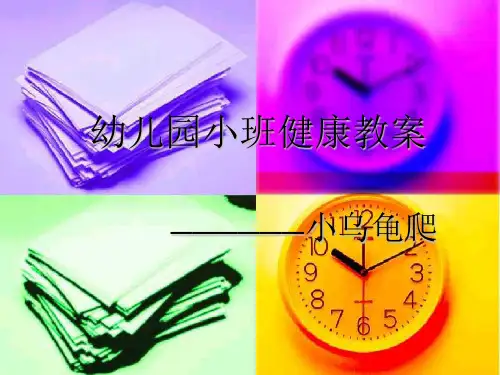 幼儿园小班健康教案_小乌龟爬PPT课件