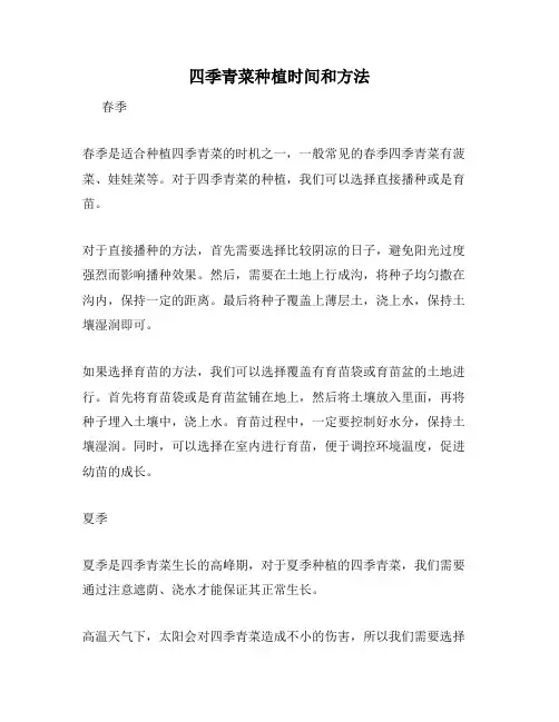 四季青菜种植时间和方法